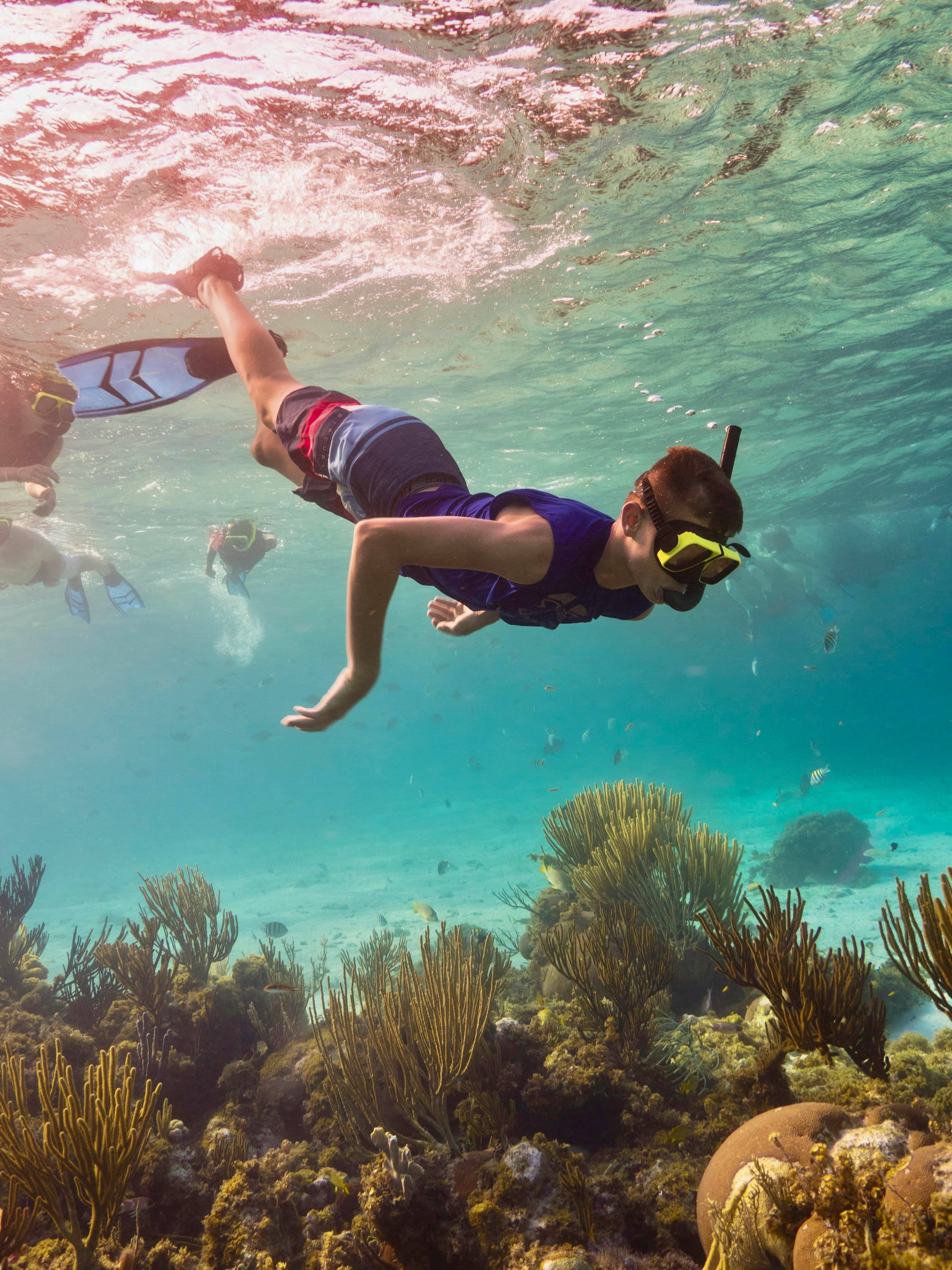 Snorkeling