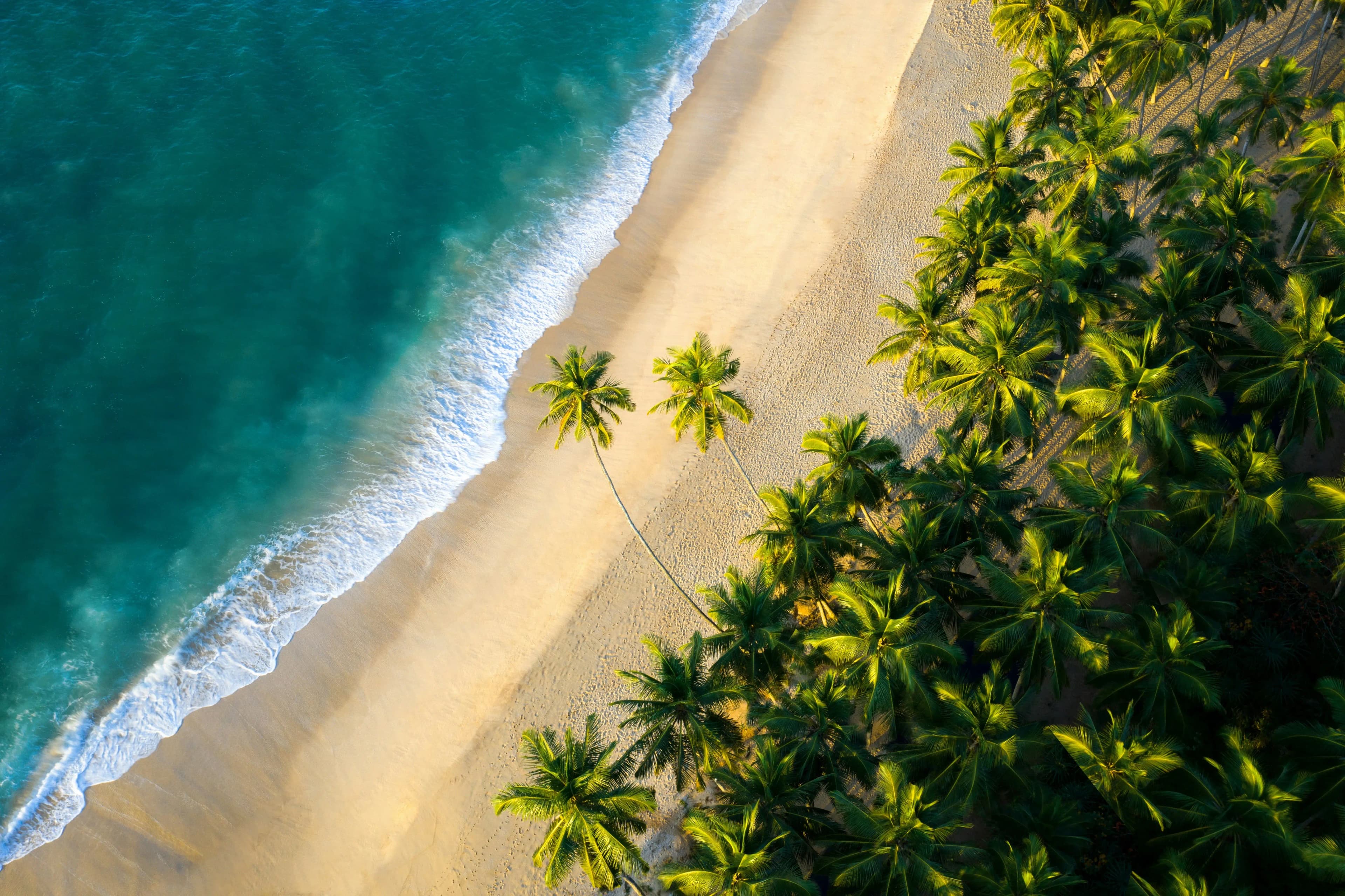 Ocean shoreline in Sri Lanka